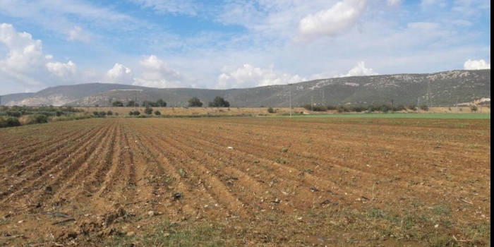 Hisseli Tarla Satışı Nasıl Yapılır?